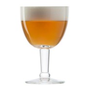 81796 Trappist Glas 25 cl. tapmaat met schuimkraag